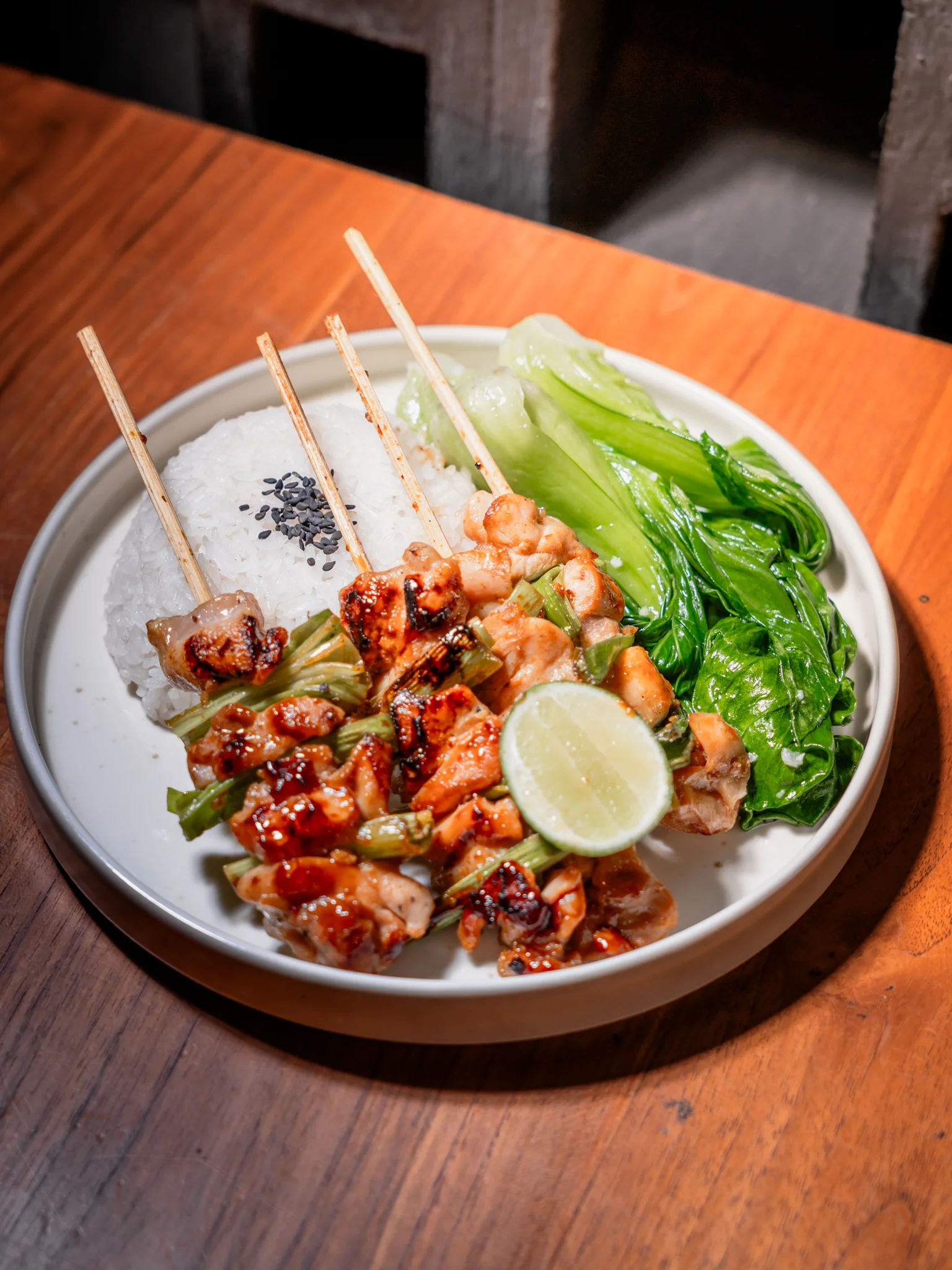 CHICKEN YAKATORI (B)