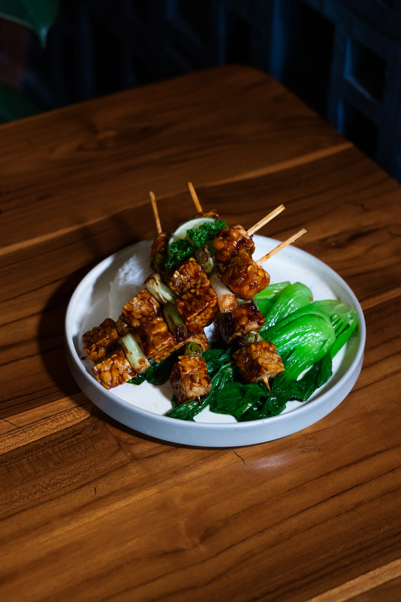 TEMPEH YAKATORI (V)